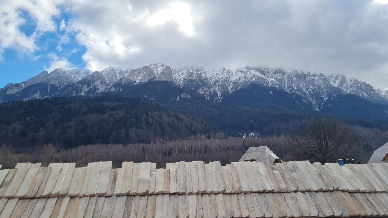 Pensiunea Kyfana Zarnesti Exterior photo